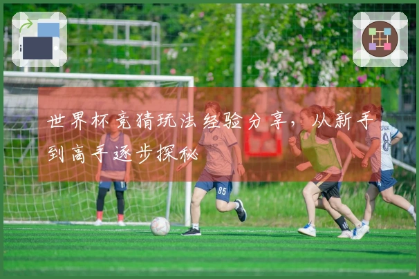 世界杯竞猜玩法经验分享，从新手到高手逐步探秘