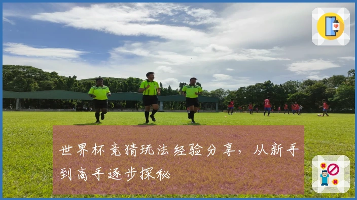 世界杯竞猜玩法经验分享，从新手到高手逐步探秘