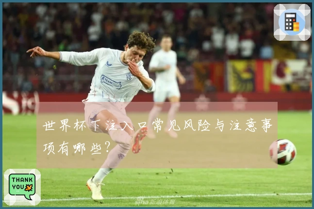 世界杯下注入口常见风险与注意事项有哪些？